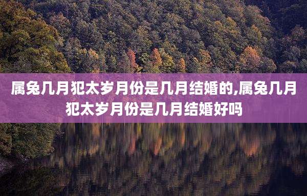 属兔几月犯太岁月份是几月结婚的,属兔几月犯太岁月份是几月结婚好吗
