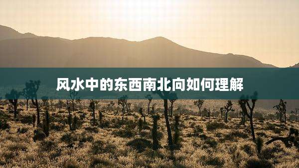 风水中的东西南北向如何理解