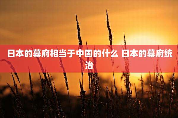 日本的幕府相当于中国的什么 日本的幕府统治