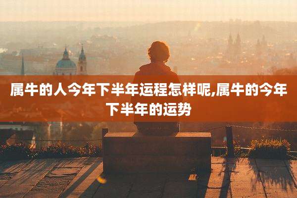 属牛的人今年下半年运程怎样呢,属牛的今年下半年的运势