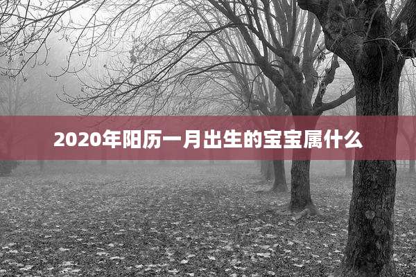 2020年阳历一月出生的宝宝属什么