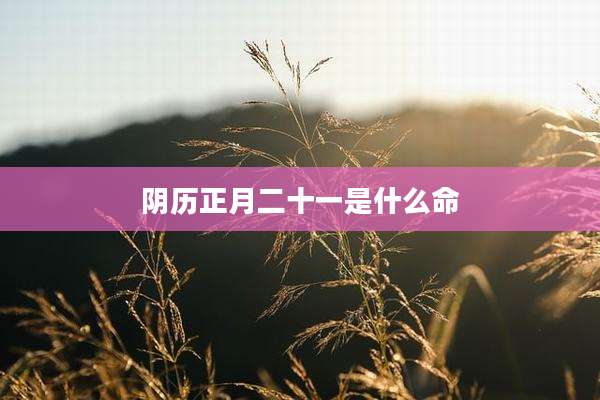 阴历正月二十一是什么命