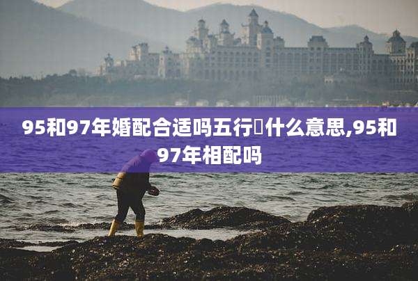 95和97年婚配合适吗五行昰什么意思,95和97年相配吗