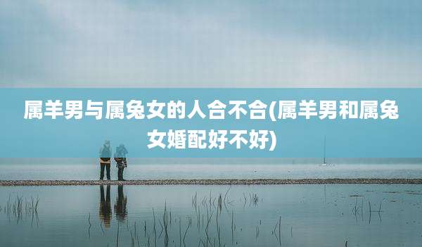 属羊男与属兔女的人合不合(属羊男和属兔女婚配好不好)
