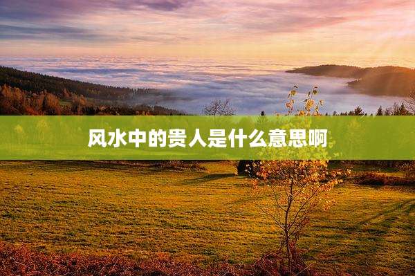 风水中的贵人是什么意思啊