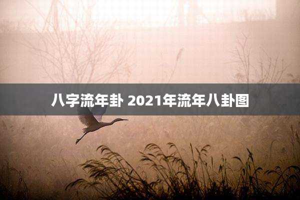 八字流年卦 2021年流年八卦图