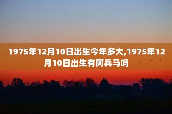 1975年12月10日出生今年多大,1975年12月10日出生有阿兵马吗