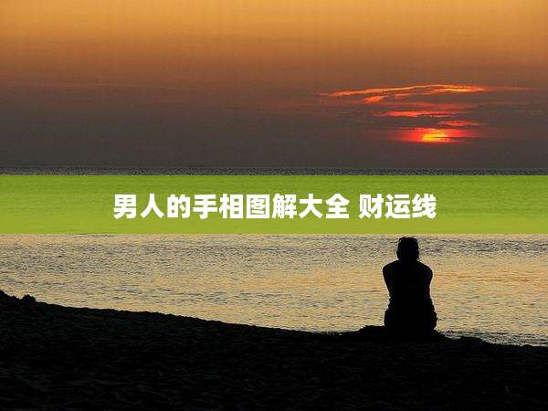 男人的手相图解大全 财运线