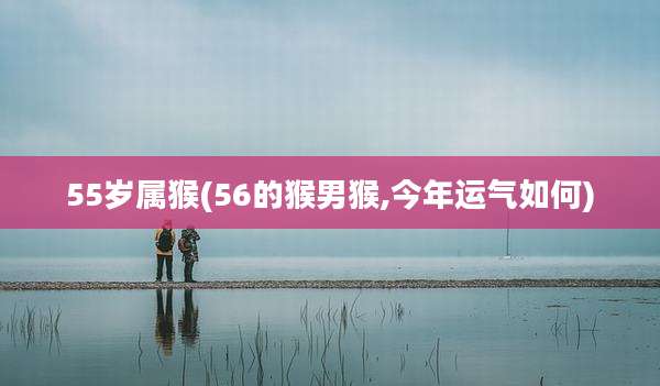 55岁属猴(56的猴男猴,今年运气如何)