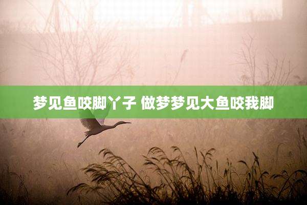 梦见鱼咬脚丫子 做梦梦见大鱼咬我脚