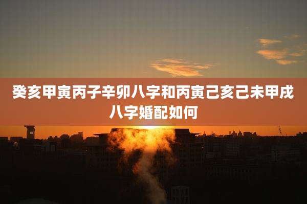 癸亥甲寅丙子辛卯八字和丙寅己亥己未甲戌八字婚配如何