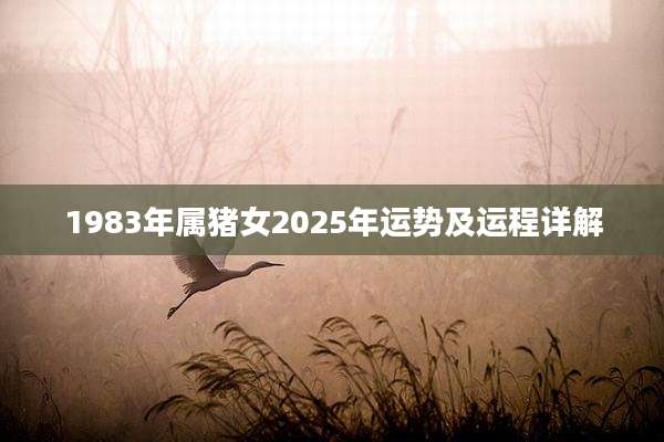 1983年属猪女2025年运势及运程详解