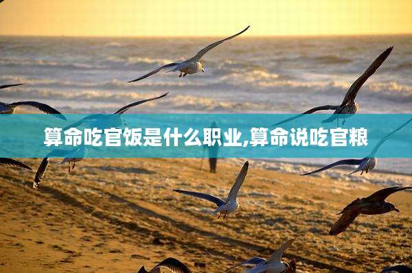 算命吃官饭是什么职业,算命说吃官粮