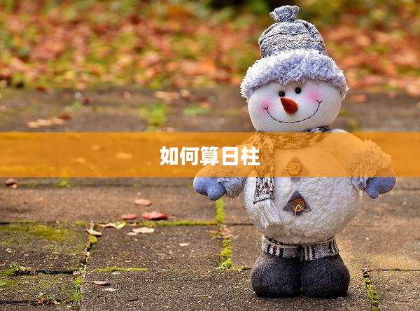 如何算日柱