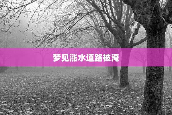 梦见涨水道路被淹