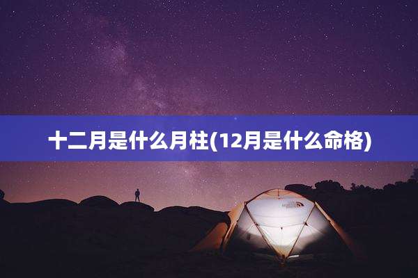十二月是什么月柱(12月是什么命格)