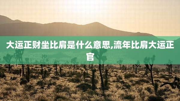 大运正财坐比肩是什么意思,流年比肩大运正官