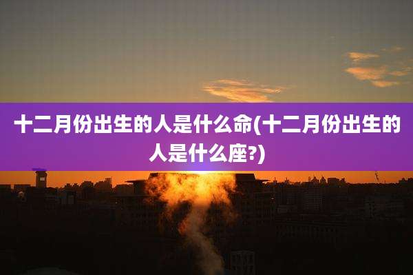 十二月份出生的人是什么命(十二月份出生的人是什么座?)