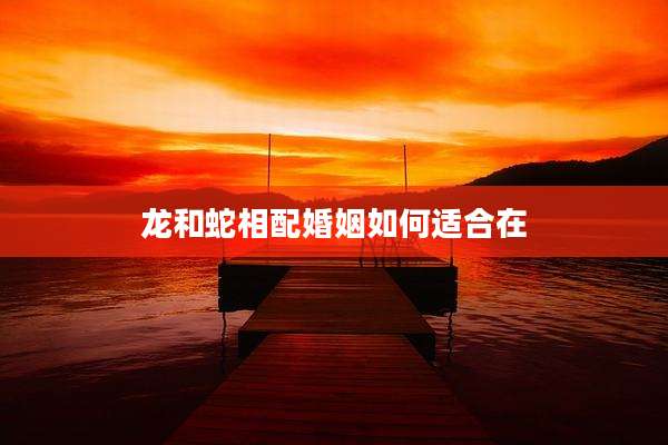 龙和蛇相配婚姻如何适合在