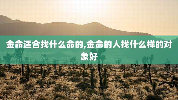 金命适合找什么命的,金命的人找什么样的对象好