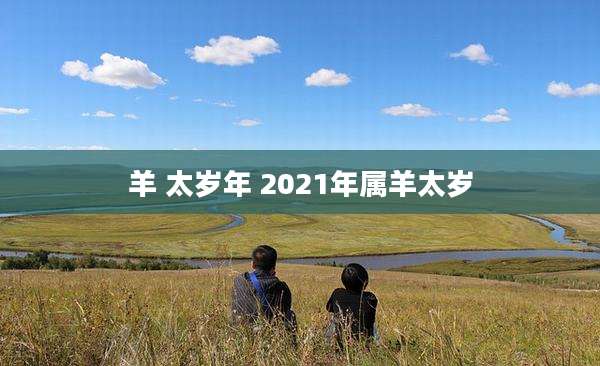 羊 太岁年 2021年属羊太岁