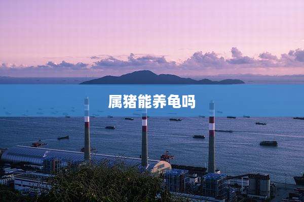 属猪能养龟吗