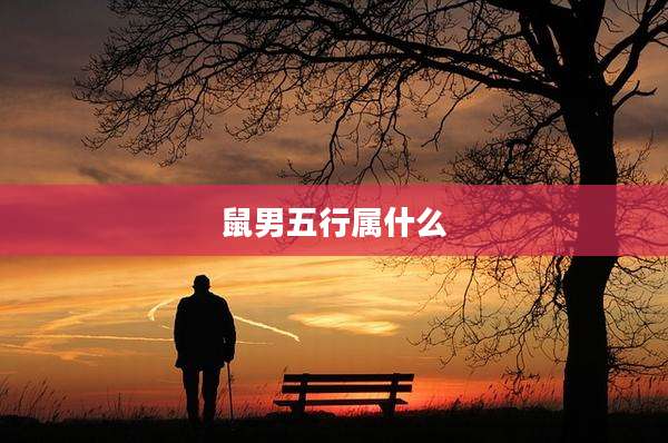 鼠男五行属什么