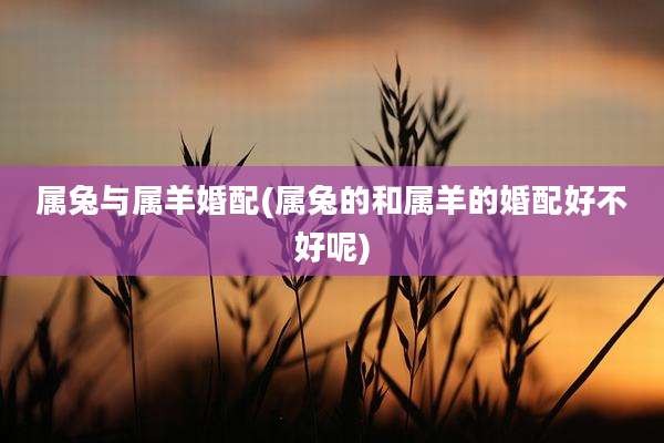 属兔与属羊婚配(属兔的和属羊的婚配好不好呢)