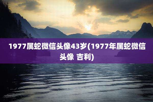 1977属蛇微信头像43岁(1977年属蛇微信头像 吉利)