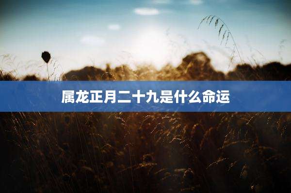 属龙正月二十九是什么命运