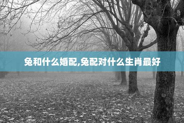兔和什么婚配,兔配对什么生肖最好