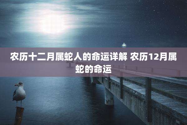 农历十二月属蛇人的命运详解 农历12月属蛇的命运