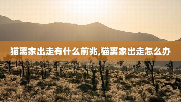 猫离家出走有什么前兆,猫离家出走怎么办