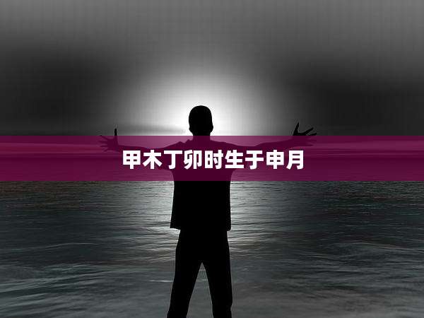 甲木丁卯时生于申月
