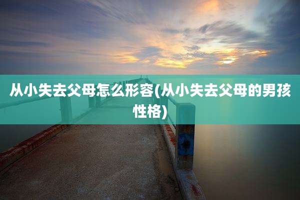 从小失去父母怎么形容(从小失去父母的男孩性格)