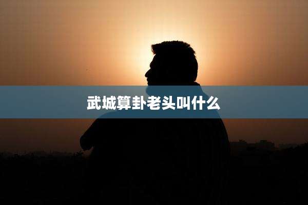 武城算卦老头叫什么