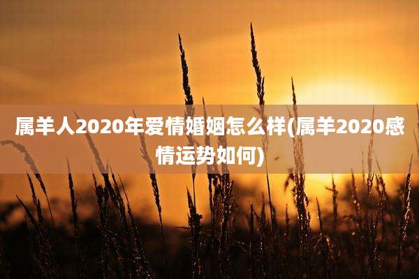 属羊人2020年爱情婚姻怎么样(属羊2020感情运势如何)
