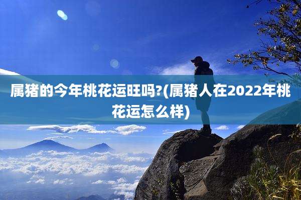 属猪的今年桃花运旺吗?(属猪人在2022年桃花运怎么样)
