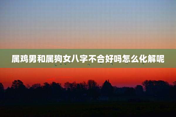 属鸡男和属狗女八字不合好吗怎么化解呢