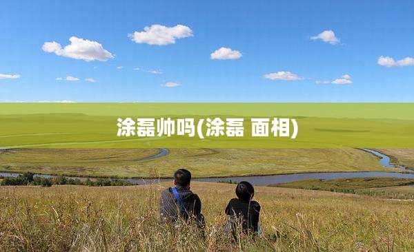 涂磊帅吗(涂磊 面相)