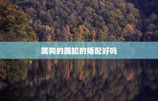 属狗的属蛇的婚配好吗