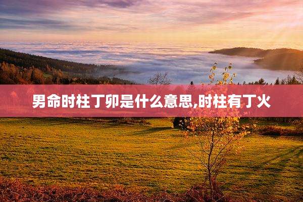 男命时柱丁卯是什么意思,时柱有丁火