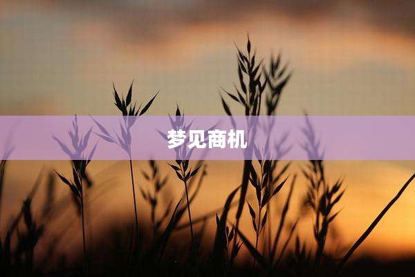 梦见商机