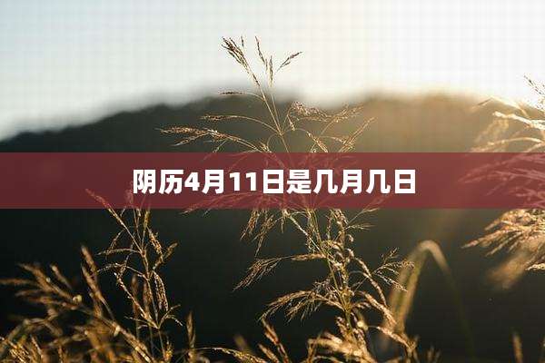 阴历4月11日是几月几日
