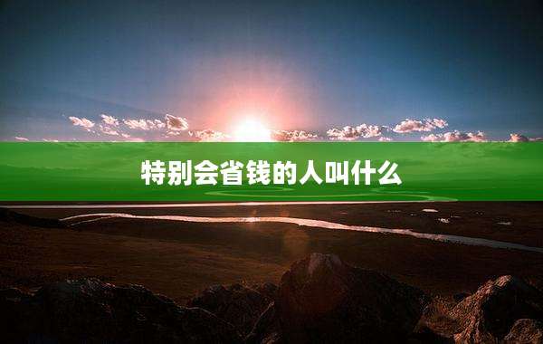 特别会省钱的人叫什么