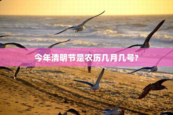 今年清明节是农历几月几号?