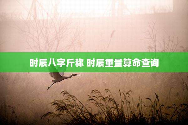 时辰八字斤称 时辰重量算命查询