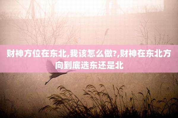 财神方位在东北,我该怎么做?,财神在东北方向到底选东还是北