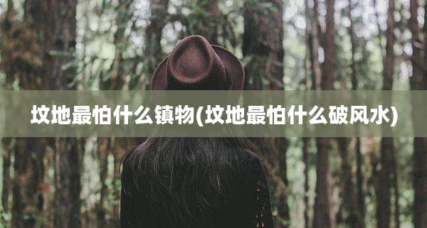 坟地最怕什么镇物(坟地最怕什么破风水)