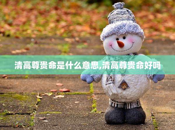 清高尊贵命是什么意思,清高尊贵命好吗